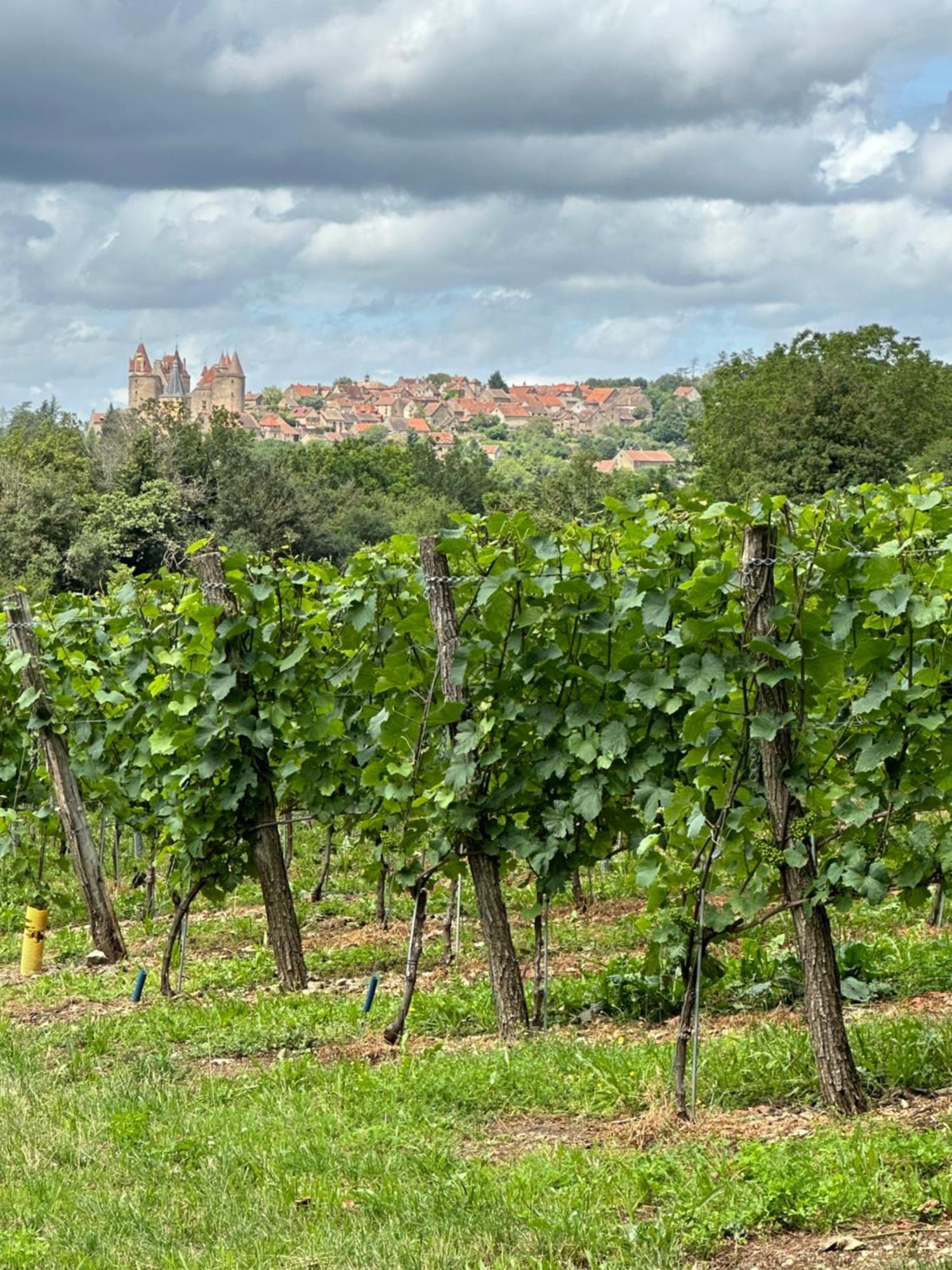 Chateauneuf Suites Exterior foto